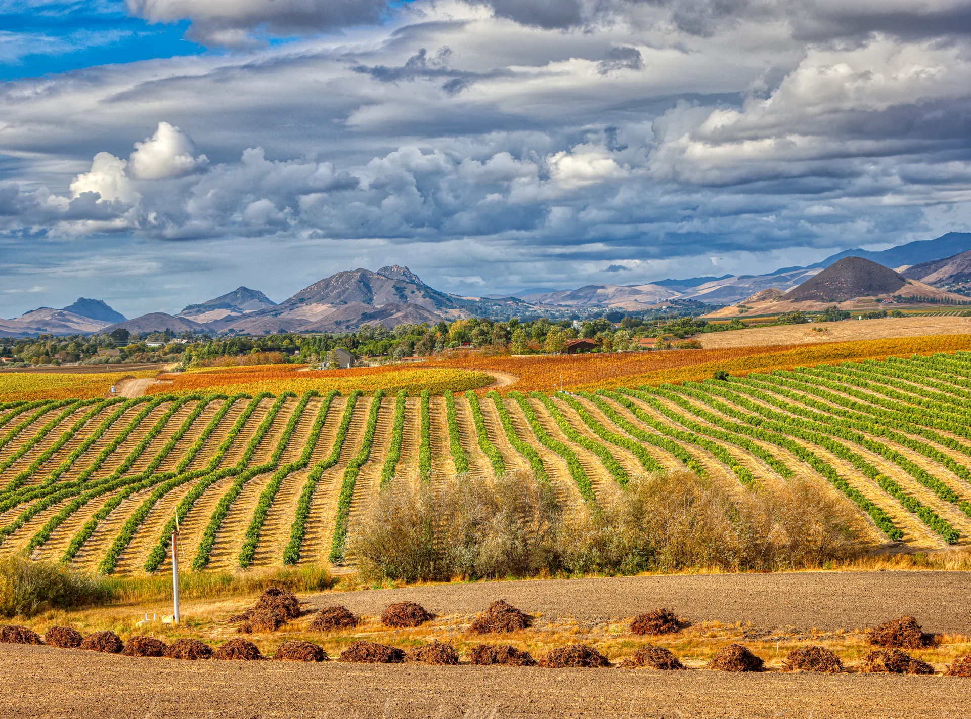 Central Coast landscape